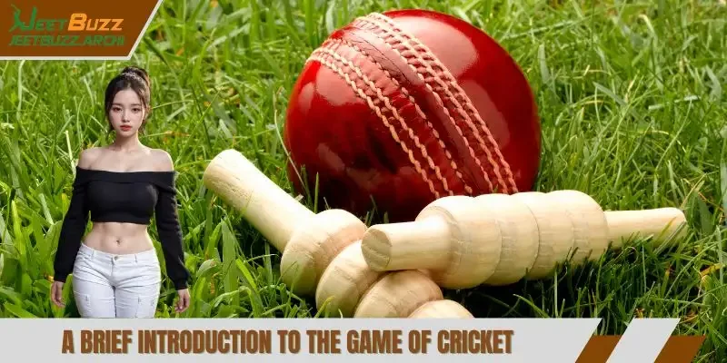 A brief introduction to the game of cricket