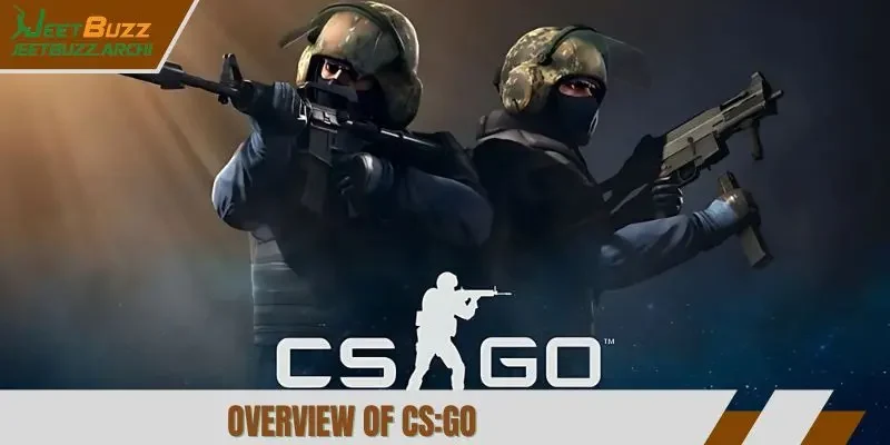 Overview of CS-GO